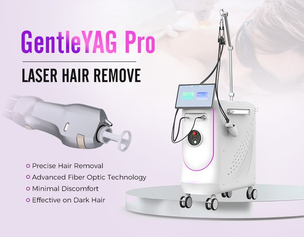 bm101---01 bm101---01